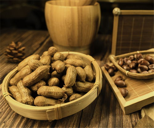 四川匠心蜀味餐饮管理 以创新与传承引领酒店餐饮新潮流