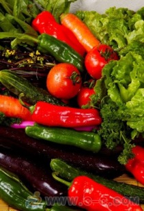 珠海市斗门区食材配送与餐饮管理一站式解决方案